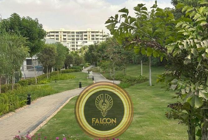 65408453 - صورة العقار 3