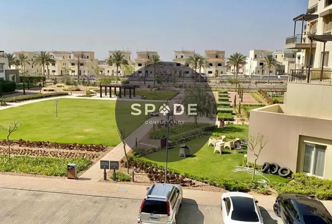 113544855 - Property Image 3