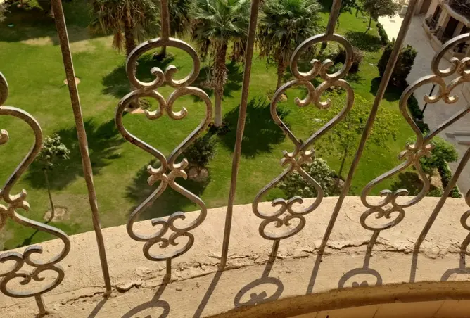 116488235 - Property Image 3