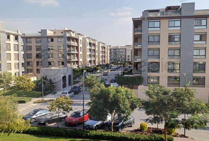 66702096 - Property Image 2