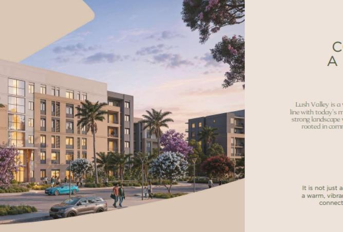 57495881 - Property Image 3