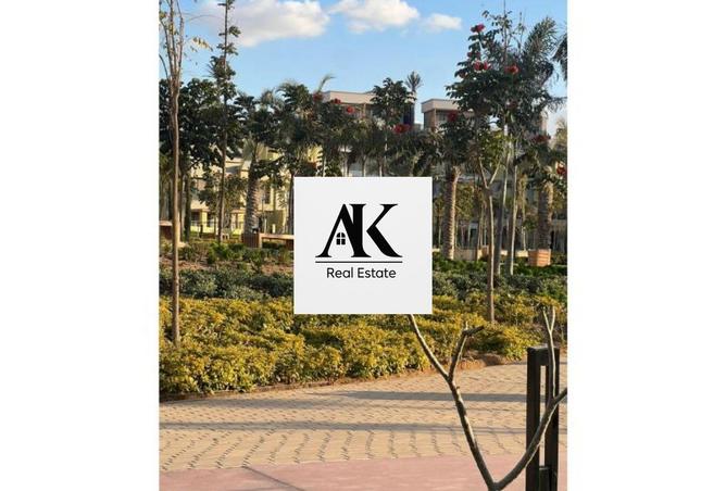 64908125 - Property Image 2