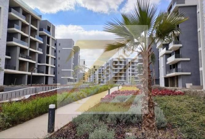 8547056 - Property Image 3