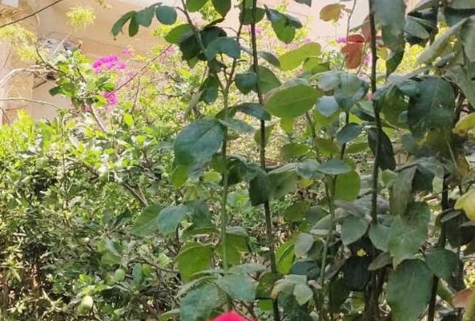 56510643 - Property Image 3