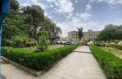 Whole Building - Studio - 4 Bathrooms for rent in Al Gazaer Square - New Maadi - Hay El Maadi - Cairo