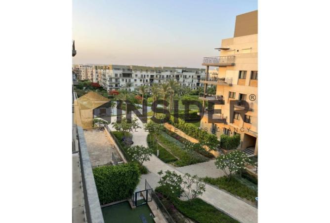 8687024 - Property Image 3