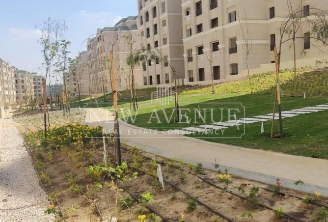 86684646 - Property Image 2