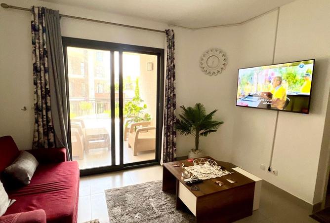 64900245 - Property Image 3