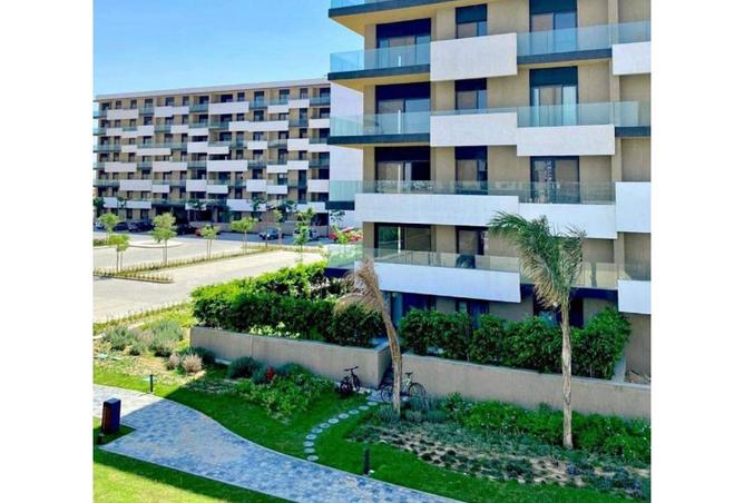 64138482 - Property Image 3