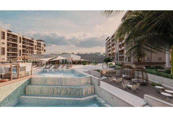 81844117 - Property Main Image