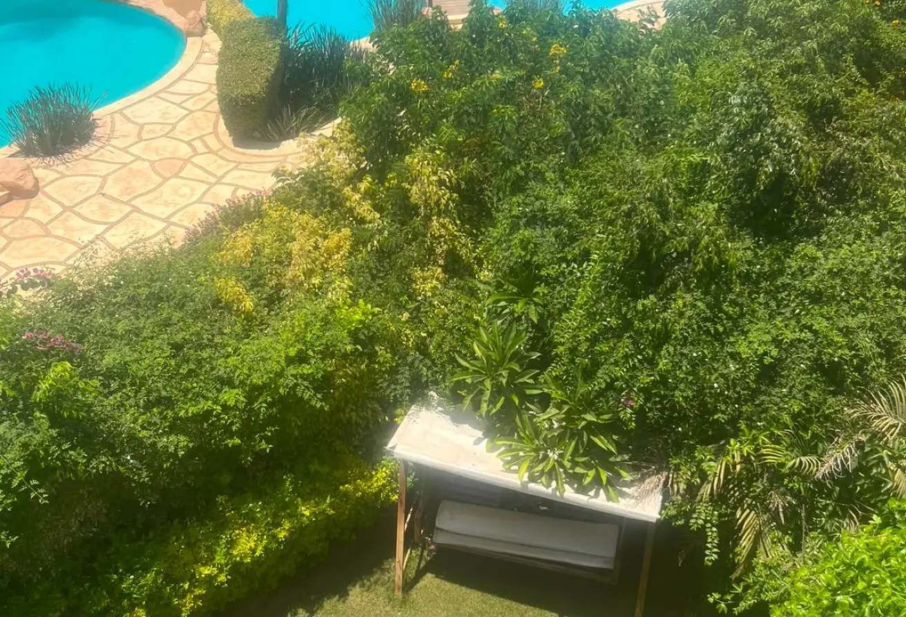 94924274 - الصورة الرئيسية للعقار