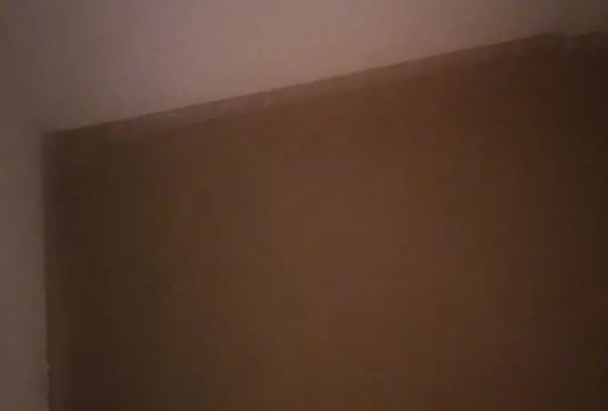 120354978 - صورة العقار 2