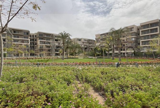 66431026 - Property Image 3