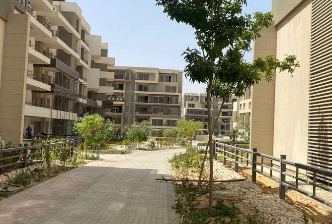 8612855 - Property Image 3