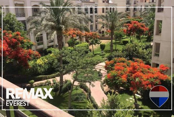 58989432 - Property Image 3