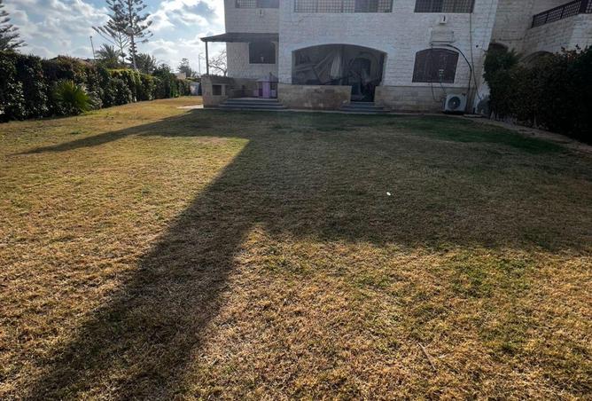 58735771 - Property Image 2