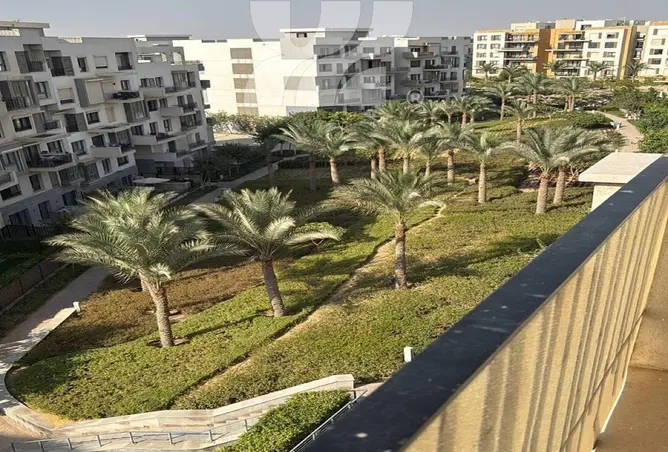 116488066 - Property Image 2