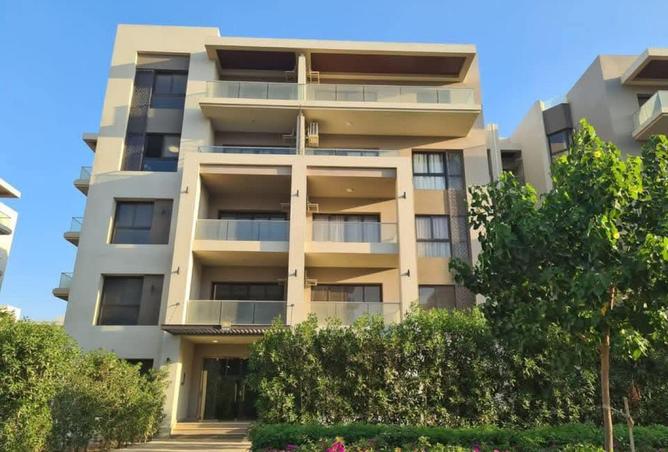 56994883 - Property Image 3