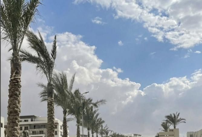99813477 - صورة العقار 2