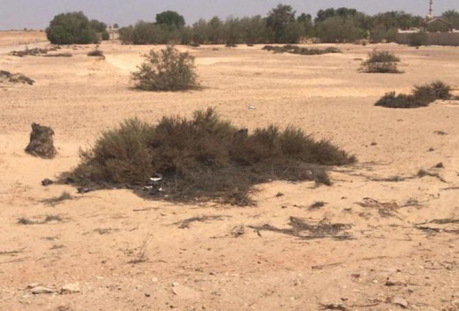 62888684 - الصورة الرئيسية للعقار