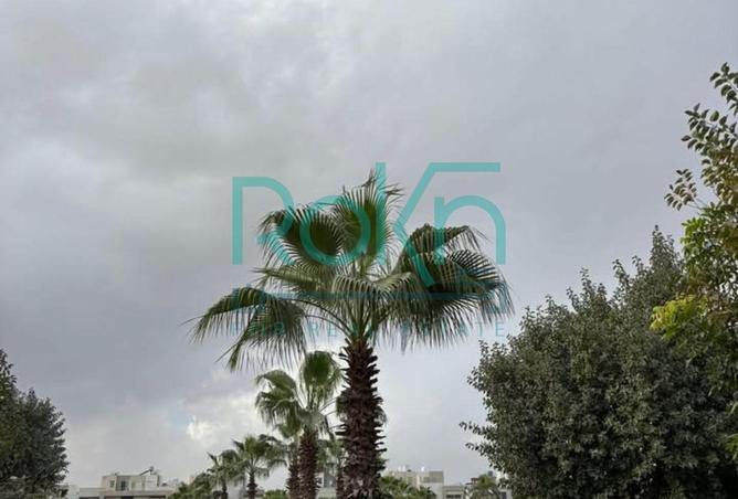 56245360 - صورة العقار 3