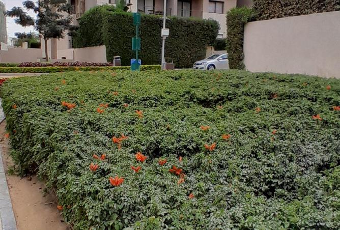 65163069 - Property Image 3