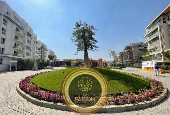 61924909 - Property Main Image