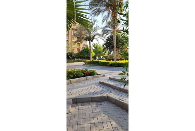 92131877 - صورة العقار 3