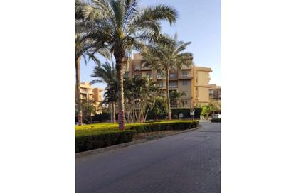 شقة - 2 غرف نوم - 1 حمام للبيع في أشجار ريزيدنس - حي الاشجار - طريق الواحات - مدينة 6 أكتوبر - الجيزة شقة - 2 غرف نوم - 1 حمام للبيع في أشجار ريزيدنس - حي الاشجار - طريق الواحات - مدينة 6 أكتوبر - الجيزة