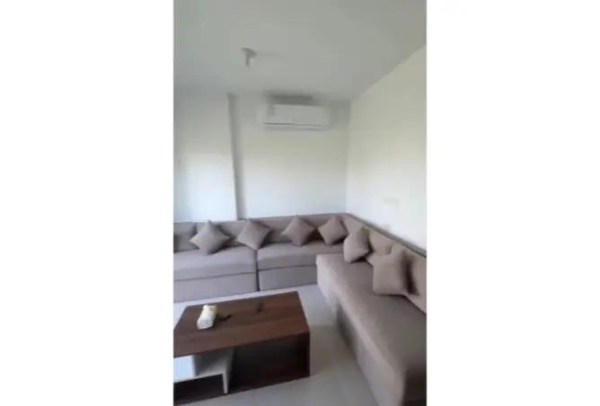 118813555 - Property Image 3