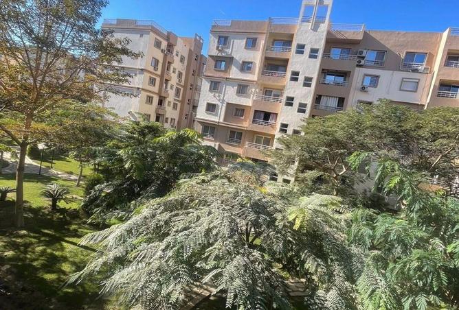 8613081 - صورة العقار 3