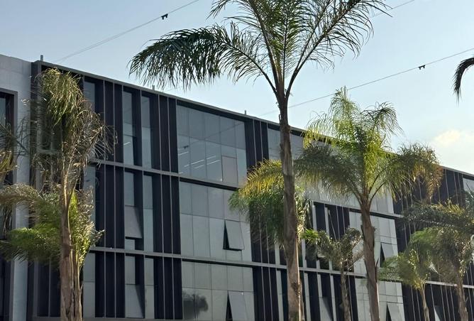 55005202 - Property Image 3