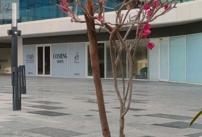 103762929 - صورة العقار 3