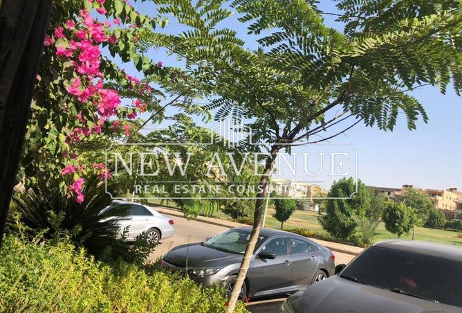 53985386 - صورة العقار 2