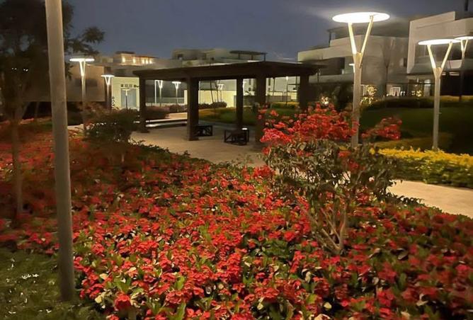 96587608 - صورة العقار 3