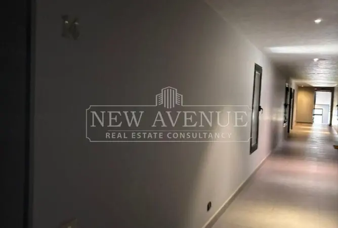 119320772 - Property Image 3