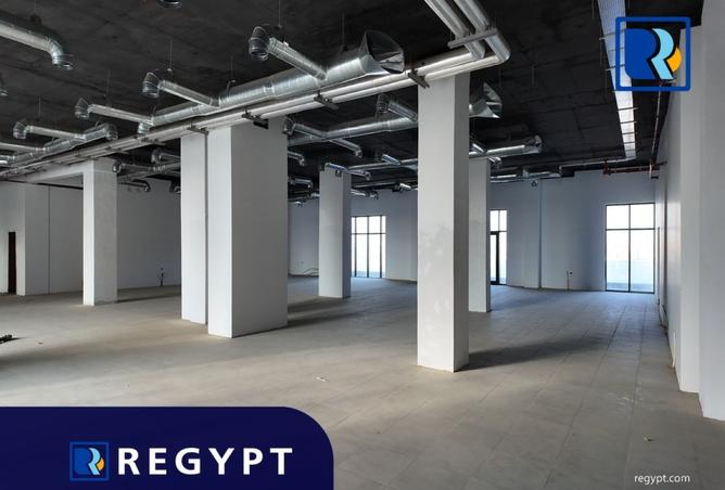 92128574 - Property Image 3