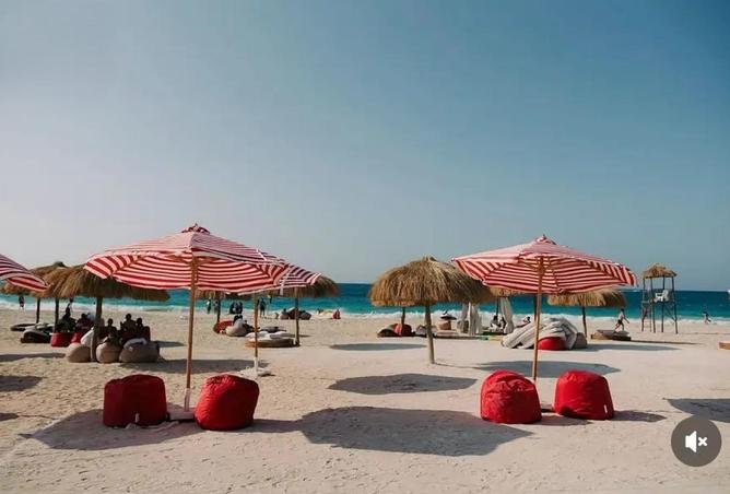 69575974 - صورة العقار 2