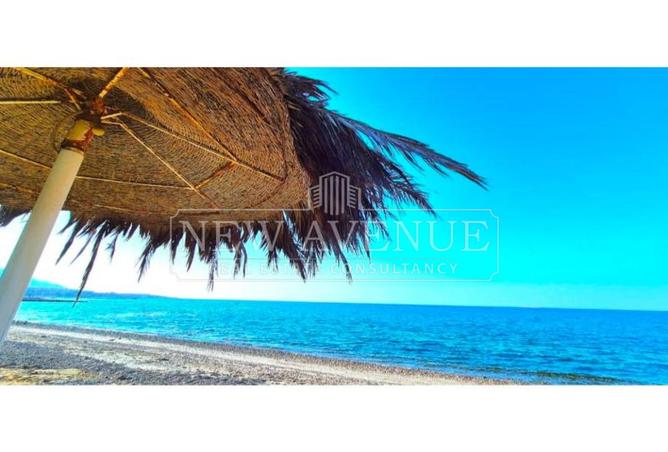 100078158 - صورة العقار 3