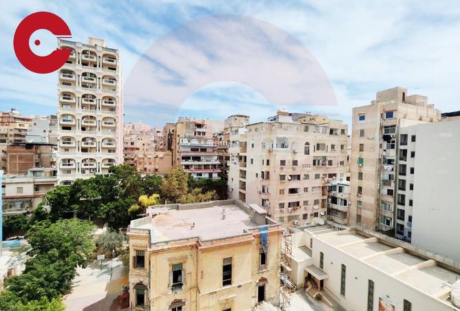 93529624 - صورة العقار 3