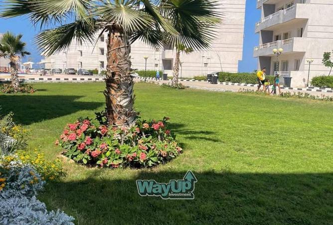 8598155 - صورة العقار 2