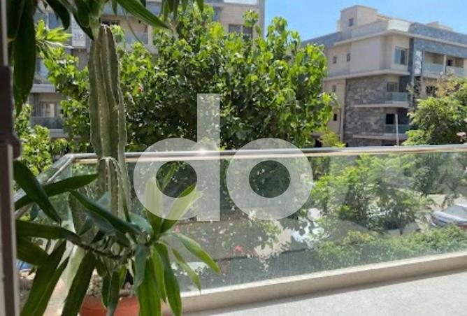 66426508 - Property Image 2