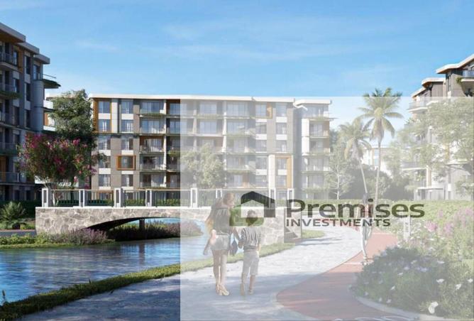 99117851 - Property Image 3