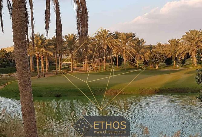 52976052 - صورة العقار 2