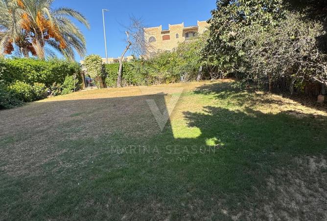 54763130 - Property Image 3