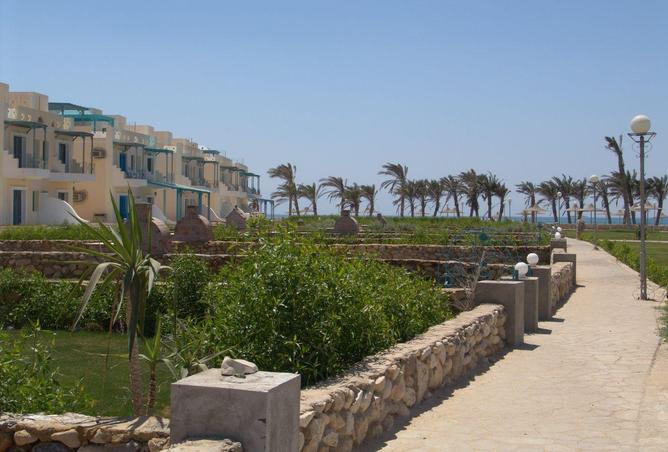 56251512 - Property Image 3