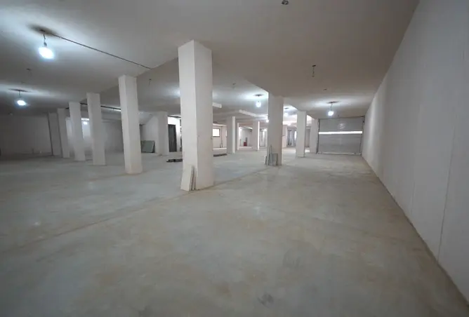 116494650 - صورة العقار 2