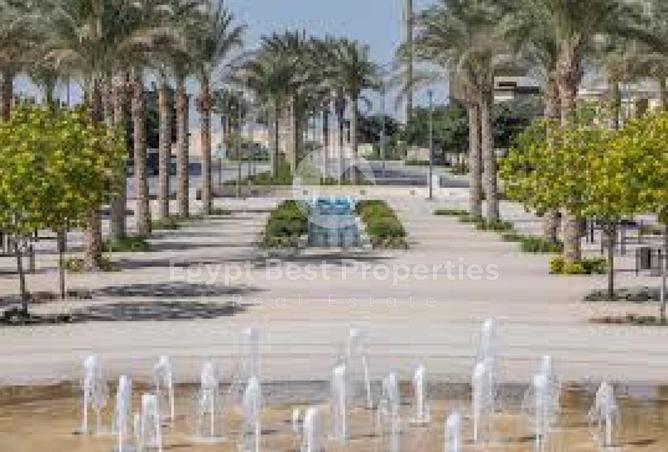 54242627 - صورة العقار 3