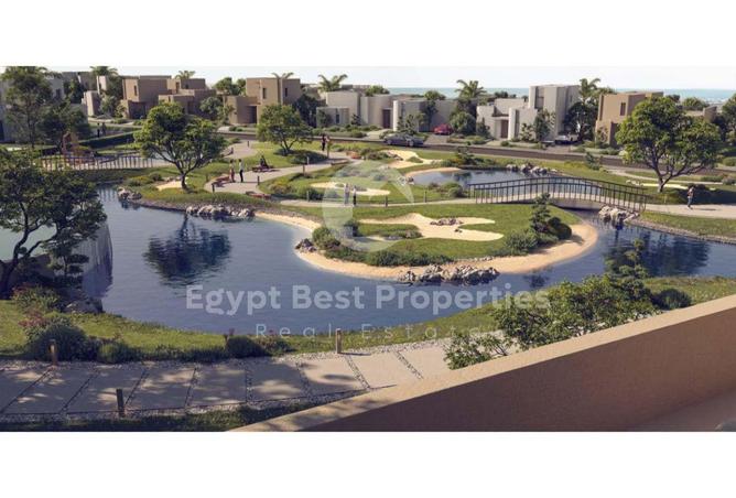 8537196 - Property Image 3