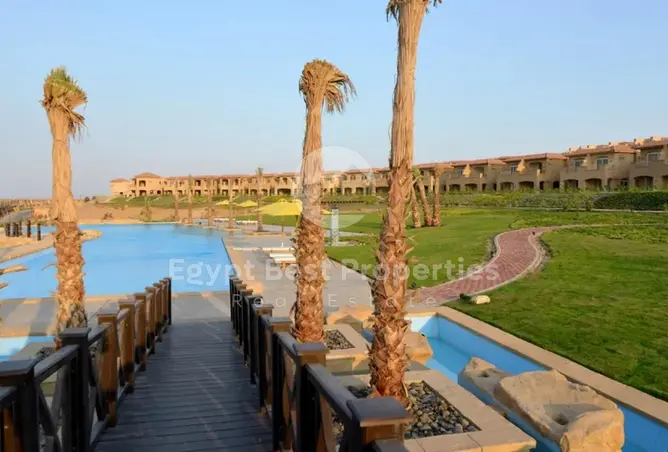117024394 - Property Image 3